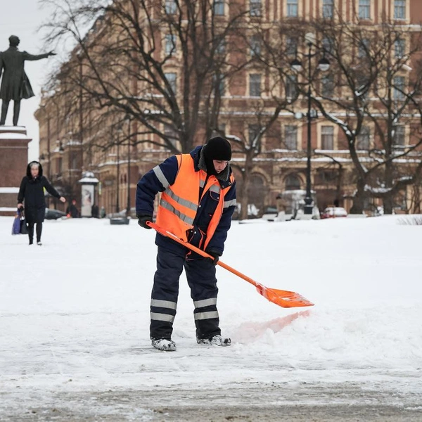 Источник: Комитет по благоустройству Петербурга