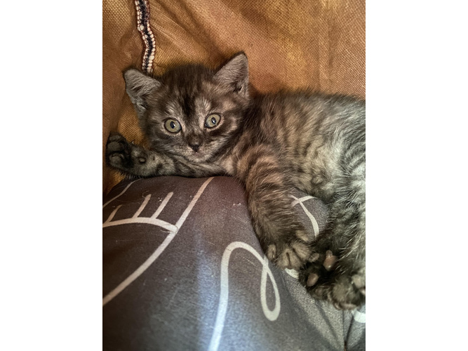 Изображение пользователя