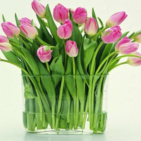 Аватарка elenKa