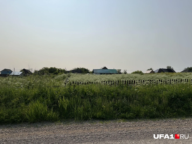 Деревня Султанаево | Источник: Андрей Бирюков / UFA1.RU