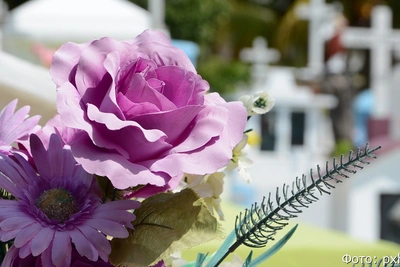 В Камчатском крае установлен сокращенный рабочий день на Радоницу