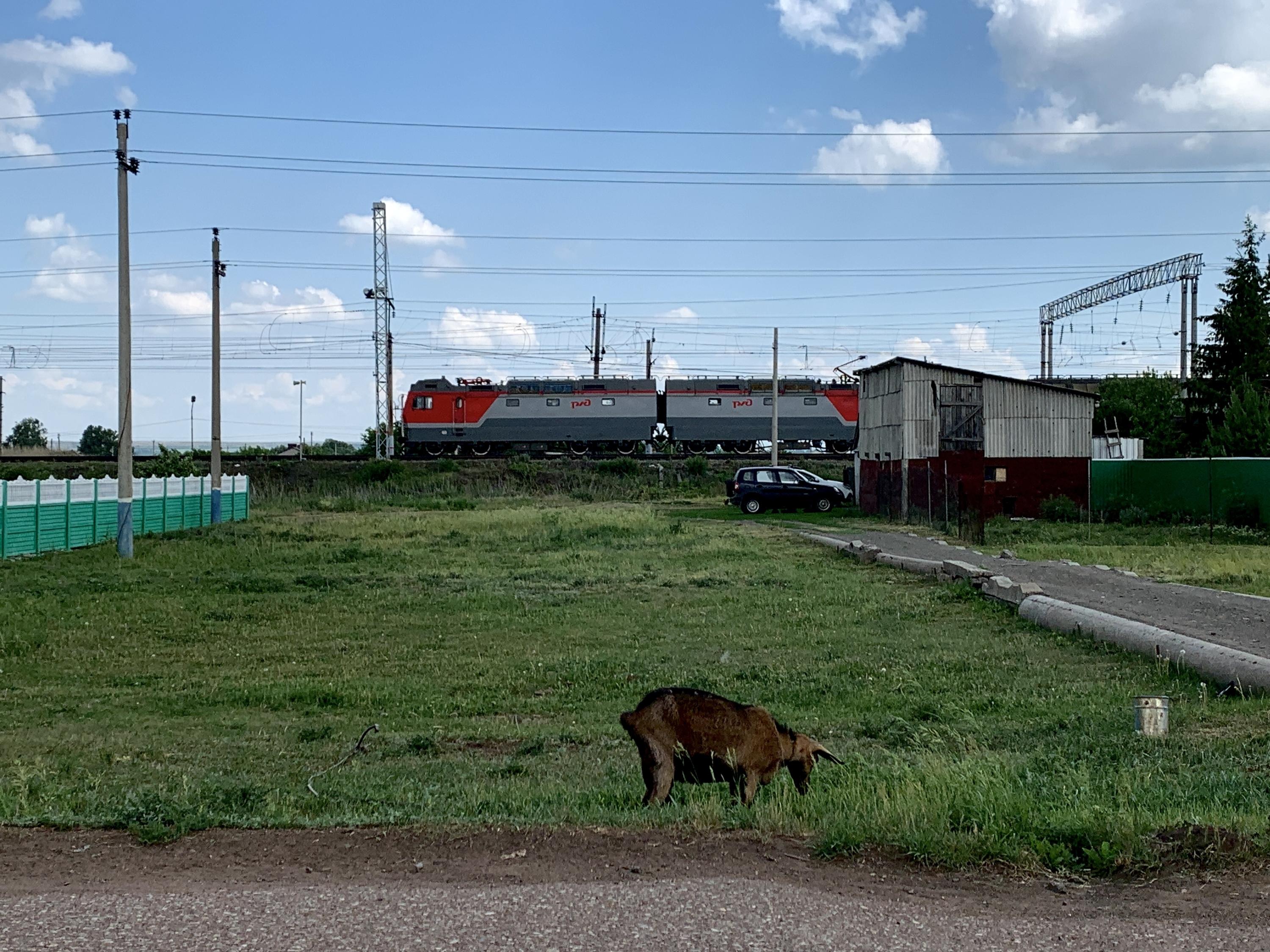 Выставка поездов в Лебяжьем