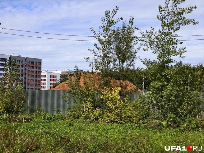 Источник: Булат Салихов / UFA1.RU