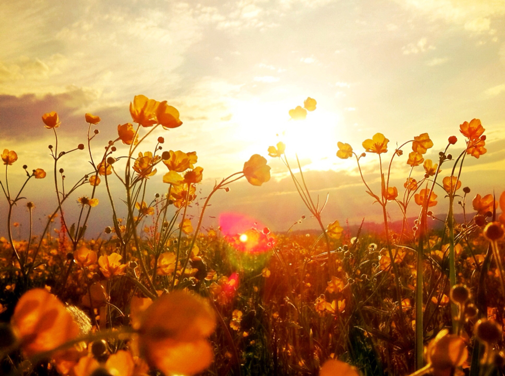 Астрологический прогноз на сентябрь 2021 по знакам Зодиака | marieclaire.ru