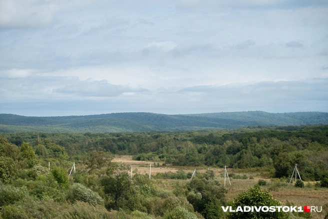 Источник: Елена Буйвол / VLADIVOSTOK1.RU