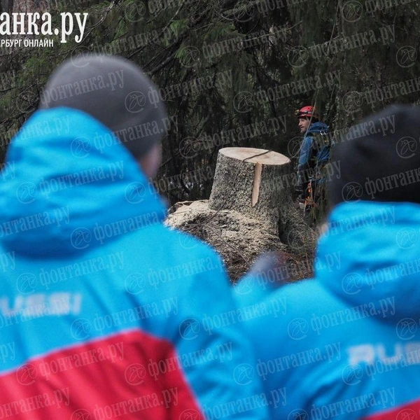 Источник: Михаил Огнев / FONTANKA.RU