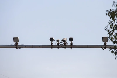 Rostov region to spend 40 billion rubles on new traffic cameras