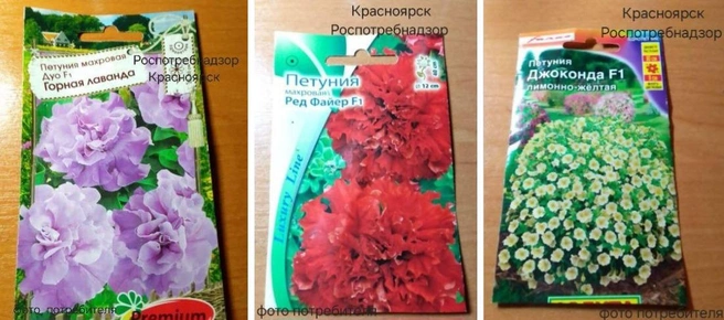 Ужурец купил рассаду в одном из магазинов своего города | Источник: Роспотребнадзор Красноярск / Telegram