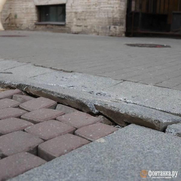 Источник: Дарья Драй / «Фонтанка.ру»