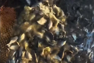 Blogger Panda Sakha Shows Traditional Yakut Fishing