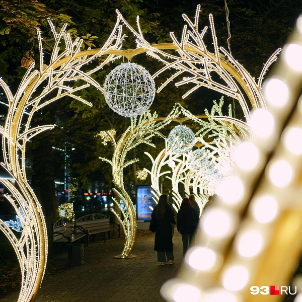 В этой части ты погружаешься в лесной мир | Источник: Дарья Паращенко / 93.RU