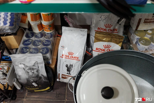 Два килограмма корма от Royal Canin стоят всего 2800 рублей | Источник: Ирина Шарова / 72.RU