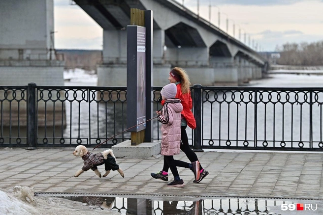 За минувшую неделю снежок в городе значительно подтаял из-за аномального потепления. Однако на следующей неделе будет прохладнее | Источник: Василина Любимова