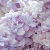 userpic__Анна