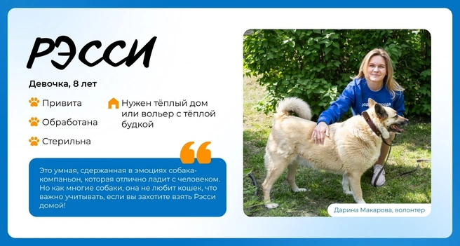 Источник: Василиса Молахова, Евгений Шаров