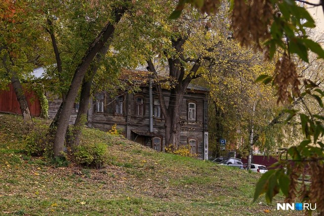 Зелень придает дому сказочности | Источник: Наталья Бурухина / NN.RU