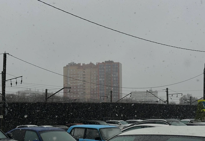 По возможности лучше избегать долгих прогулок | Источник: Виктория Улитова / YA62.RU