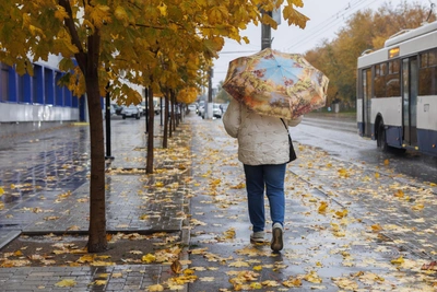 Волгоград ожидает потепление к выходным