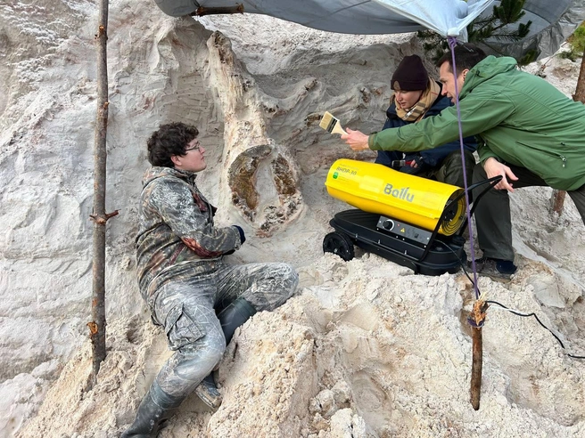 Источник: Григорьев Д. В.