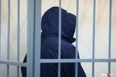 Интерпол вернул в Россию нижегородца, скрывавшегося в Дубае