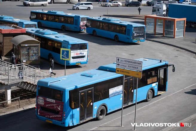 Технику покупают на деньги из краевого бюджета | Источник: Елена Буйвол / VLADIVOSTOK1.RU