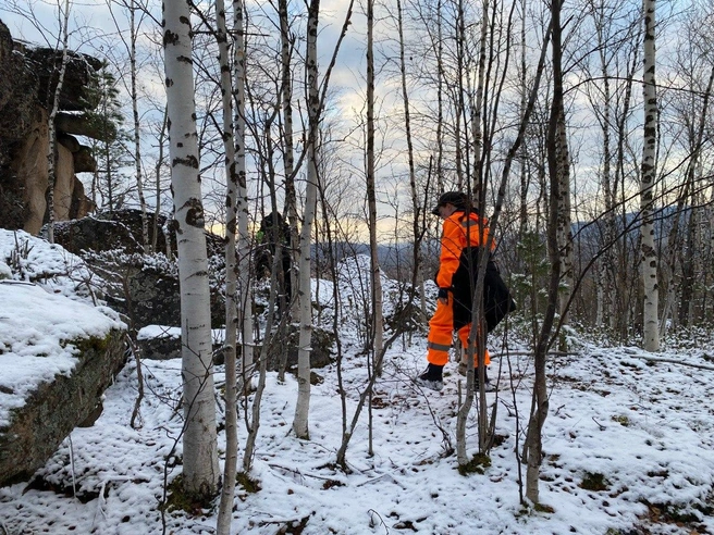 Поиски идут уже шестой день | Источник: ДПСО «ЛизаАлерт» Красноярского края / Telegram