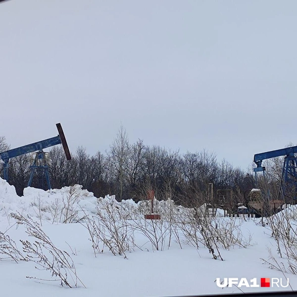А вот ракурс ближе&nbsp;— прямо за дачами&nbsp;качают нефть | Источник: Марина Каримова / UFA1.RU