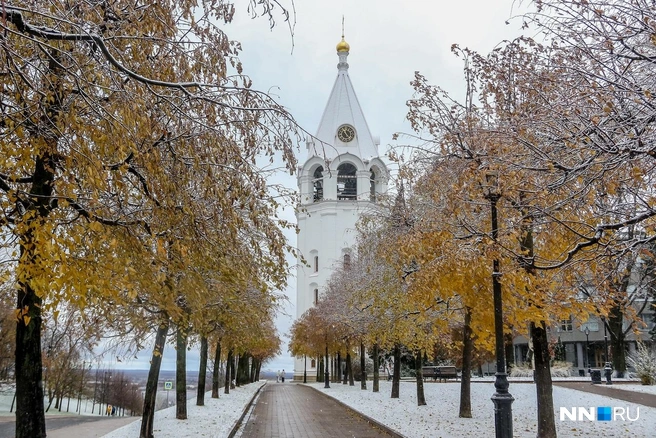 В ноябре в Нижнем выпал первый сильный снег — казалось, что нижегородцев ждет суровая зима. Однако вместо нее пришли температурные качели — и в новогодние праздники жителей региона за окном ждет едва заметный минус | Источник: Наталья Бурухина / NN.RU