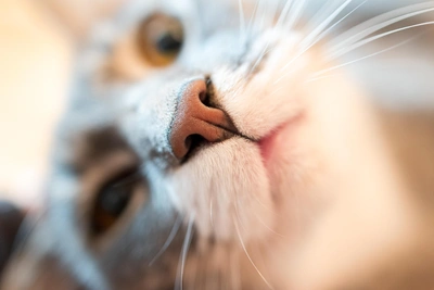 Синоптики предупреждают о метели в Красноярске