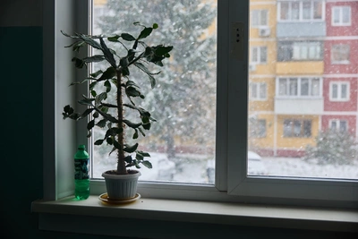 На левом берегу Новосибирска произошла авария на теплосети