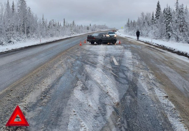 Источник: пресс-служба УМВД России по Мурманской области