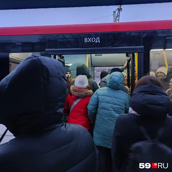 Люди пытались влезть в любой из приехавших автобусов, чтобы уехать в нужную сторону | Источник: Наталия Главатских / 59.RU