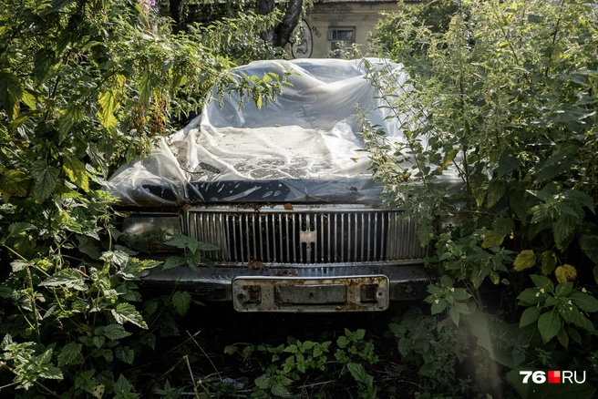 В кустах притаился старый автомобиль, который стал уже местным «арт-объектом» | Источник: Александр Куренной / 76.RU