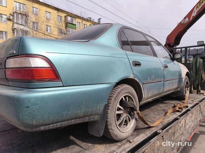 Источник: www.city-n.ru
