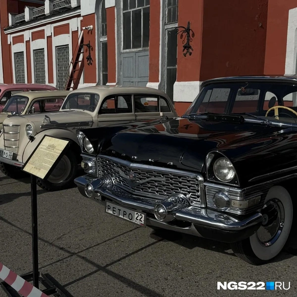 Источник: Полина Шевчукова / NGS22.RU