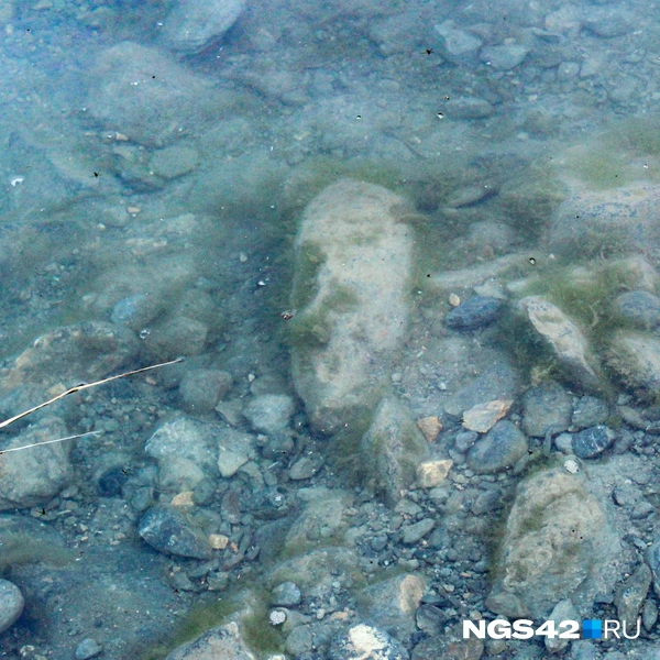 Источник: Александр Левчук / NGS42.RU