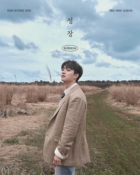 Источник: Company Soosoo