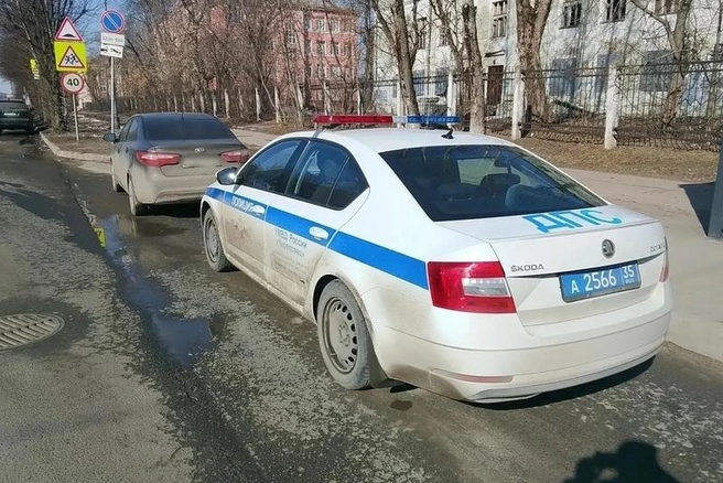 Источник: st.cherinfo.ru