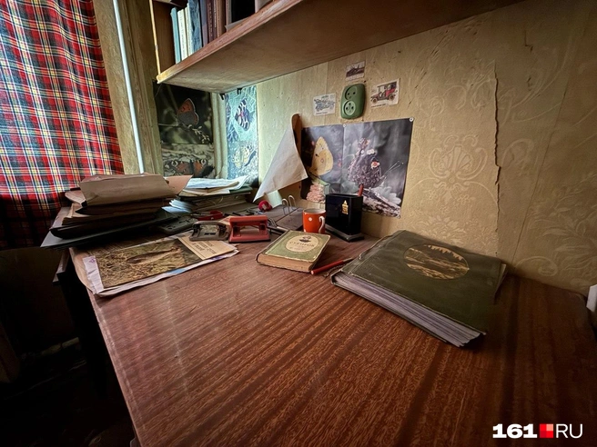 Источник: Марина Рыбалкина / 161.RU