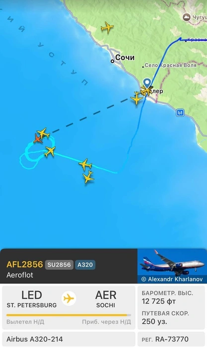 Самолеты кружат в небе над Сочи  | Источник: Flightradar24