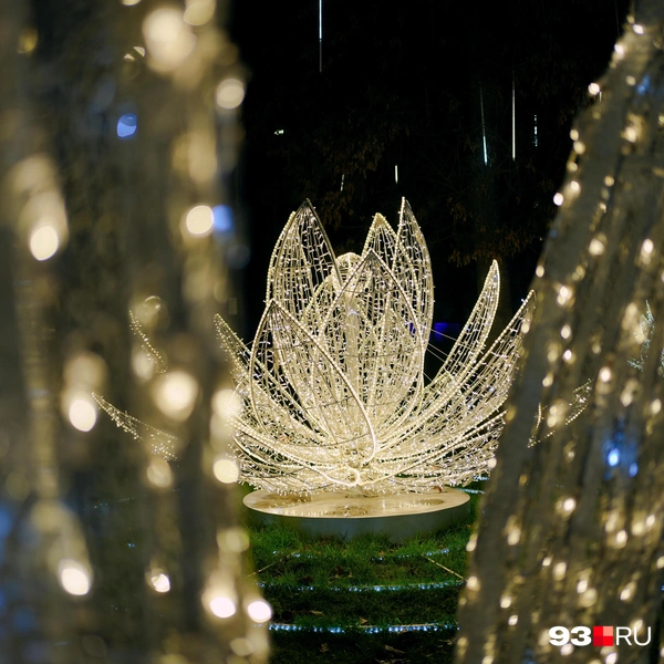 Лучше приходить на Красную ночью | Источник: Дарья Паращенко / 93.RU