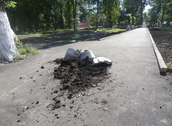 В Шацке вандалы разгромили обновленный парк | ya62.ru