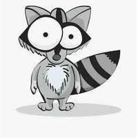 Аватарка FunnyRaccoon