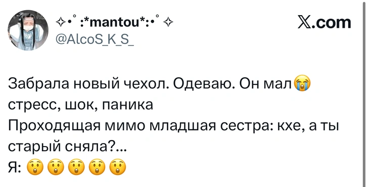 Источник: X (Twitter)