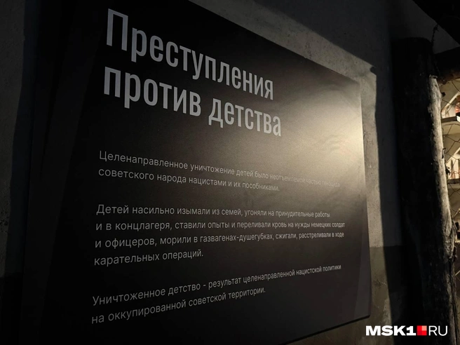 Здесь рассказывается о преступлениях против детей | Источник: Максим, читатель MSK1.RU