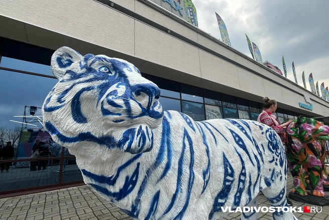 Источник: Елена Буйвол / VLADIVOSTOK1.RU