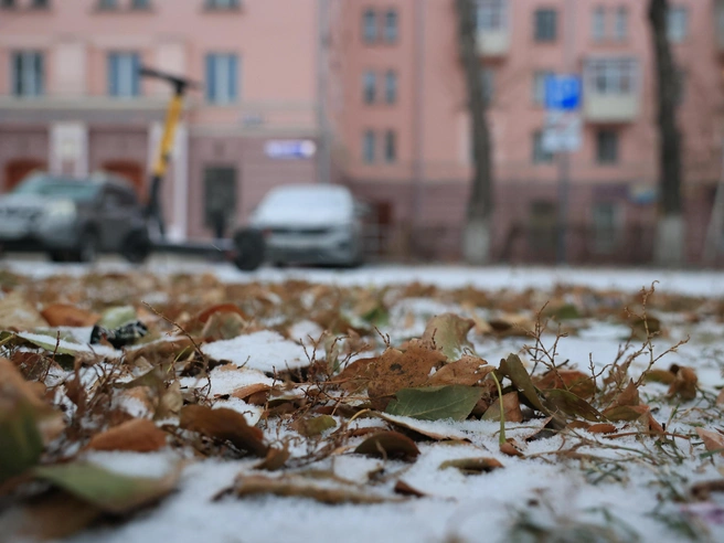 Погода испортится в ближайшие дни | Источник: Дарья Пона