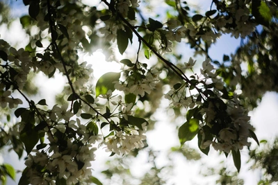 Синоптики обещают жаркий апрель в Омской области