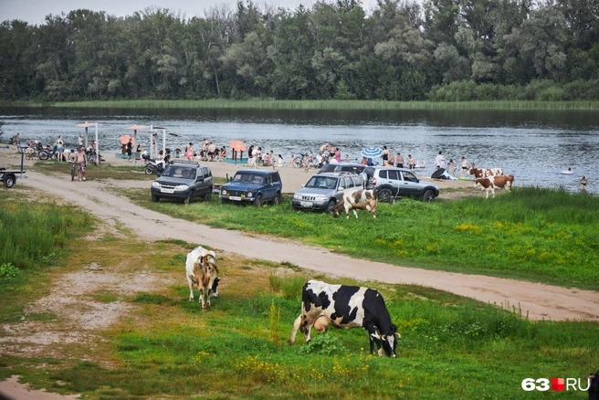 Источник: Роман Данилкин / 63.RU