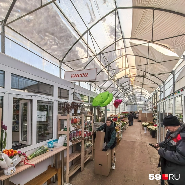 В тепличном хозяйстве в Ванюках есть касса, где можно оплатить заказ | Источник: Василина Любимова / 59.RU